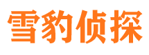 巴东找人公司